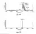 Fig. 62 - Methods and products related to the improved analysis of carbohydrates