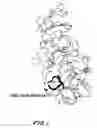 Fig. 02 - α-amylase mutants