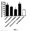 Fig. 02 - BENZIMIDAZOLE DERIVATIVES AND METHODS OF USE THEREOF