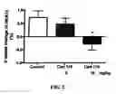 Fig. 03 - BENZIMIDAZOLE DERIVATIVES AND METHODS OF USE THEREOF