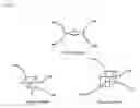 Fig. 02 - An Apo-Ferredoxin Preparation, A Process For Producing Same And Uses Thereof