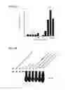 Fig. 07 - NUCLEOTIDE SEQUENCE ENCODING A MODULATOR OF NF-KB