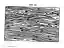 Fig. 06 - Methods and compositions to treat myocardial conditions