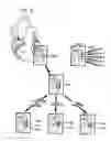 Fig. 24 - Methods and compositions to treat myocardial conditions