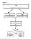 Fig. 25 - Methods and compositions to treat myocardial conditions