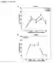 Fig. 06 - Compositions Having Antiangiogenic Activity and Uses Thereof