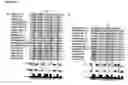 Fig. 41 - Compositions Having Antiangiogenic Activity and Uses Thereof