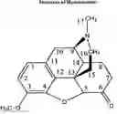 Fig. 01 - COMPOSITIONS AND METHODS FOR ENHANCING ANALGESIC POTENCY OF COVALENTLY BOUND-COMPOUNDS, ATTENUATING ITS ADVERSE SIDE EFFECTS, AND PREVENTING THEIR ABUSE