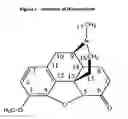 Fig. 02 - COMPOSITIONS AND METHODS FOR ENHANCING ANALGESIC POTENCY OF COVALENTLY BOUND-COMPOUNDS, ATTENUATING ITS ADVERSE SIDE EFFECTS, AND PREVENTING THEIR ABUSE