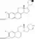 Fig. 46 - COMPOSITION COMPRISING A GLYCOLYTIC INHIBITOR AND A RING SYSTEM COMPRISING A SULPHAMATE GROUP FOR THE TREATMENT OF CANCER