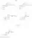 Fig. 09 - 23-Substituted Derivatives of Lupane-type Pentacyclic Triterpenoids
