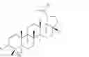 Fig. 69 - 23-Substituted Derivatives of Lupane-type Pentacyclic Triterpenoids