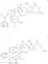 Fig. 02 - Heterocyclic cyclopamine analogs and methods of use thereof