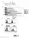 Fig. 02 - Small Molecule Inhibitors for Immune Modulation
