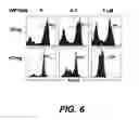 Fig. 07 - Small Molecule Inhibitors for Immune Modulation