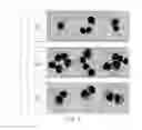 Fig. 07 - Reduction of graft-versus-host disease by modulation of SHIP activity