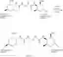 Fig. 49 - Dimeric avermectin and milbemycin derivatives