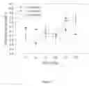 Fig. 06 - Compositions and Methods for Preserving Brain Function