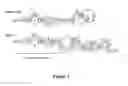 Fig. 03 - Functional enhancement of antimicrobials