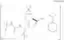 Fig. 09 - Process for preparing (1R,2S,5S)-N-[(1S)-3-amino-1-(cyclobutylmethyl)-2,3-dioxopropyl]-3-[(2S)-2-[[[(1,1-dimethylethyl)amino]-carbonyl]amino]-3,3-dimethyl-1-oxobutyl]-6,6-dimethyl-3-azabicyclo[3.1.0]hexane-2-carboxamide