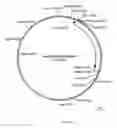 Fig. 06 - Compositions and methods for purifying calreticulin