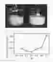 Fig. 02 - Dispersion improver for gluten, and dispersion solution of gluten