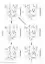 Fig. 02 - Method of synthesizing macrolide compounds