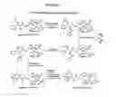 Fig. 02 - Purification of taxanes