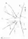Fig. 09 - Medical device to deliver pelvic floor implant