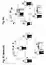 Fig. 04 - System And Method For Providing A Personalized Tool For Estimating Glycated Hemoglobin