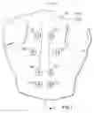 Fig. 02 - Apparatus for application of trigger point pressure in personal fitness centers and the like before or after exercise