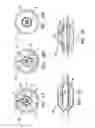 Fig. 09 - Agent delivery catheter having a radially expandable centering support members