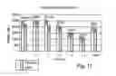 Fig. 12 - SPRAY ADMINISTRATION OF COMPOSITIONS INCLUDING ACTIVE AGENTS SUCH AS PEPTIDES TO THE GASTROINTESTINAL TRACT