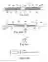 Fig. 49 - Loop Ablation Apparatus and Method