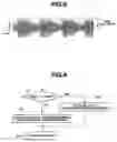 Fig. 07 - Surgical system and surgical method