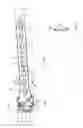 Fig. 02 - Bone plate