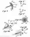 Fig. 09 - Embolectomy Catheters And Methods For Treating Stroke And Other Small Vessel Thromboembolic Disorders