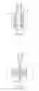 Fig. 02 - Graft fixation