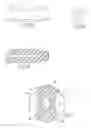 Fig. 07 - Graft fixation