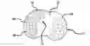 Fig. 01 - JOINT SUPPORT AND SUBCHONDRAL SUPPORT SYSTEM