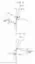 Fig. 08 - Loop simulation apparatus, method and program thereof