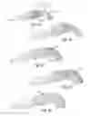 Fig. 06 - Identification of 3D surface points using context-based hypothesis testing
