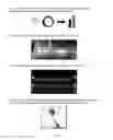 Fig. 07 - RECOMBINANT CONSTRUCTS AND TRANSGENIC FLUORESCENT ORNAMENTAL FISH THEREFROM