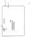 Fig. 06 - METHOD, APPARATUS AND SYSTEM FOR MANAGEMENT OF APPLICATION SWITCHING IN AN ELECTRONIC DEVICE