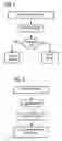 Fig. 02 - Method and apparatus for protection of a program against monitoring flow manipulation and against incorrect program running