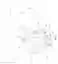 Fig. 02 - Ground leaf blower with hose attachment