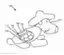 Fig. 01 - APPARATUS, SYSTEM, AND METHOD FOR TREAT-FILLED DOLLS FOR PETS