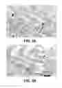 Fig. 03 - Superaustenitic stainless steel and method of making and use thereof