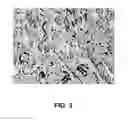 Fig. 04 - Superaustenitic stainless steel and method of making and use thereof