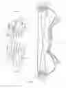 Fig. 02 - Compound archery bow with replaceable draw length adjustment modules